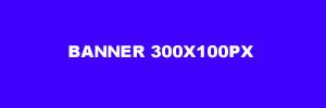 Banner Blog 300x100px 2