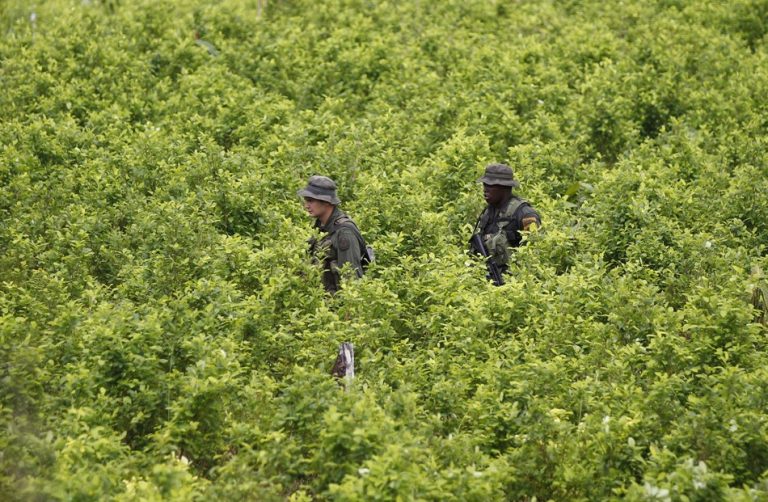 colombia_drug_eradica_fran.jpg