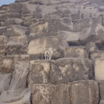 gif.gif