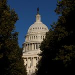 2024-10-21t225459z-651596417-rc29paaxx23s-rtrmadp-3-usa-dailylife.jpg