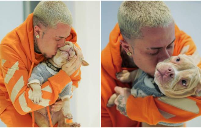 MC Daniel desabafa após cachorro morrer em acidente doméstico: Uma dor inexplicável