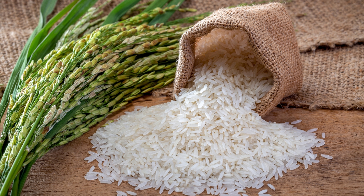 “Exportações Brasileiras de Arroz Despencam em Junho: Enchentes e Concorrência Global Abalam o Setor”