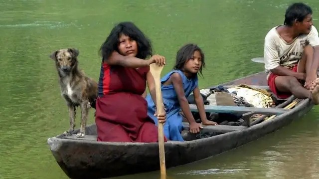 ‘A língua que falamos determina como pensamos’: americano que cresceu com indígenas na Amazônia explica relação