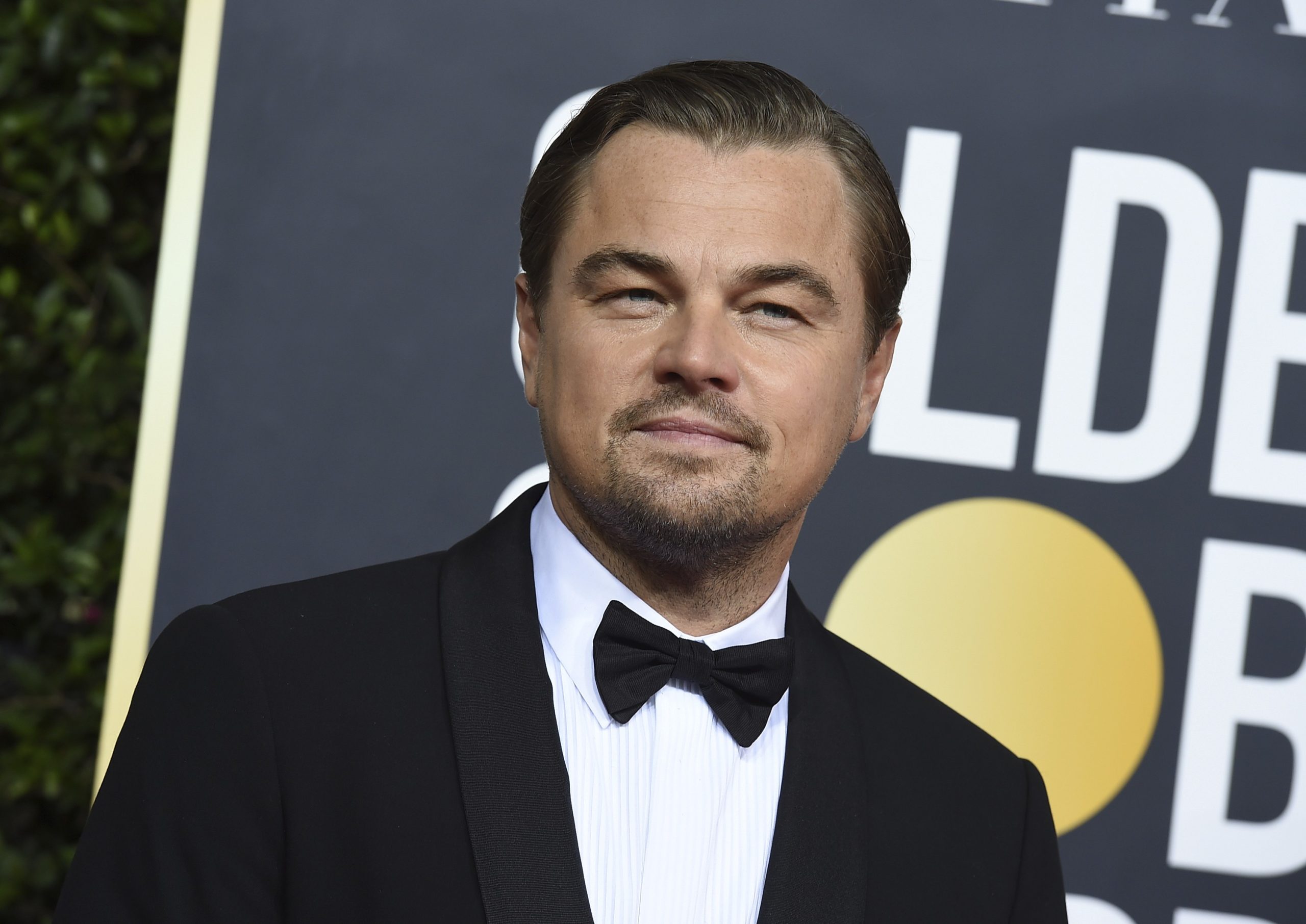 Leonardo DiCaprio apoia Kamala Harris e diz que Donald Trump ‘nega a ciência’