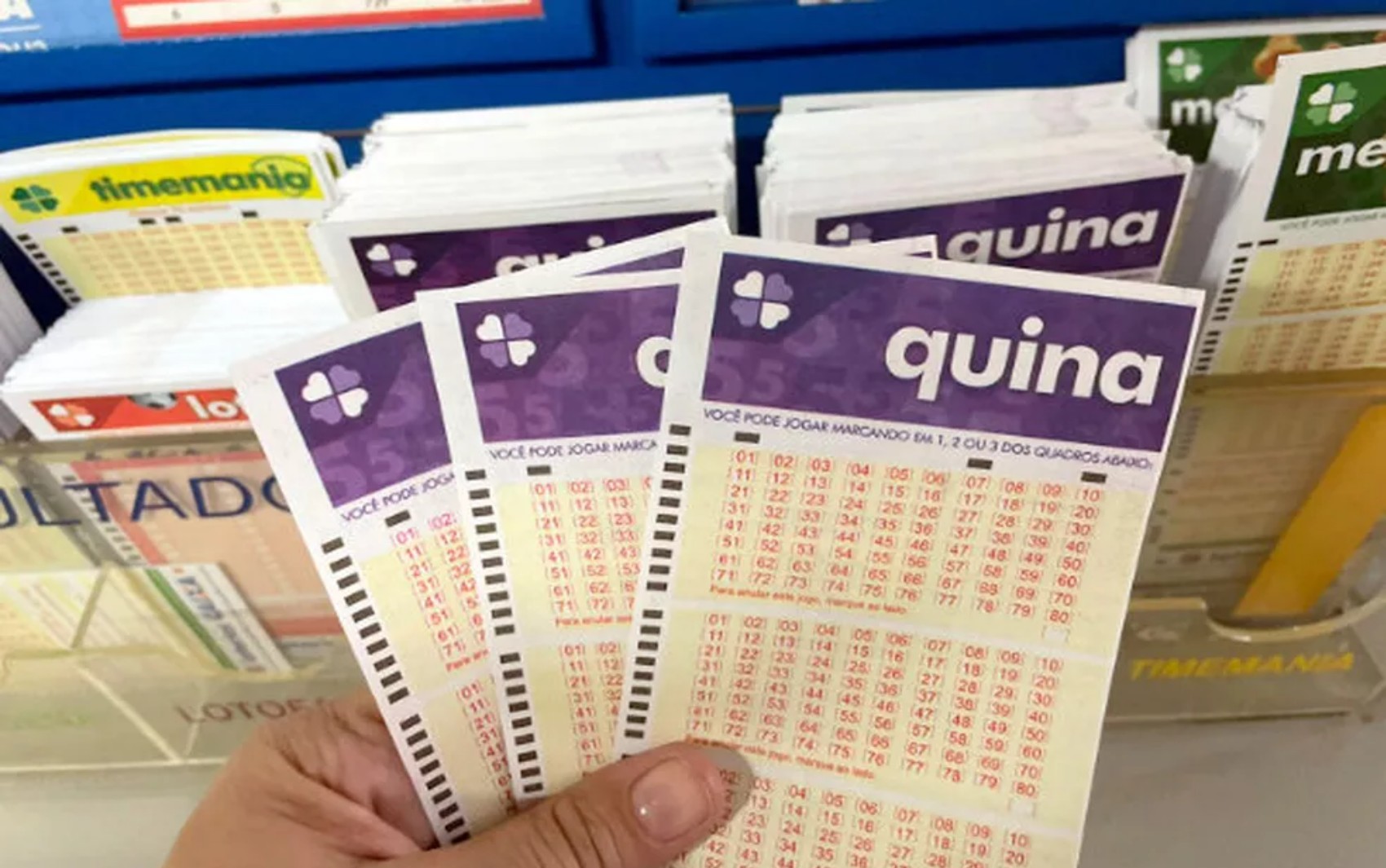Resultado da Quina, concurso 6583