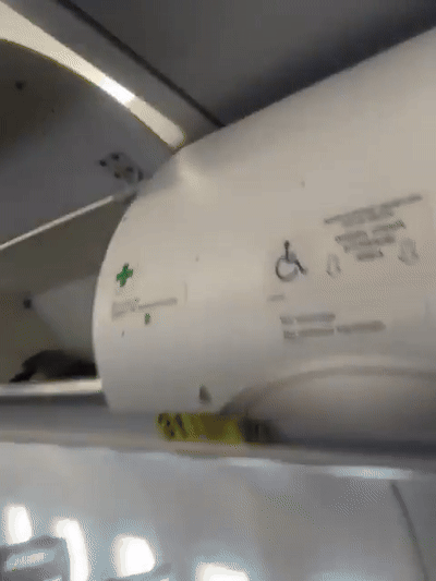 Avião dos EUA é atingido por tiros ao tentar pousar em Porto Príncipe, no Haiti, e comissária é baleada; VÍDEO mostra estragos